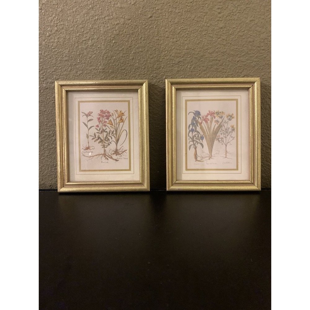 Vintage Small Set of 2 Gold Guild Framed Botanical Flower Pictures